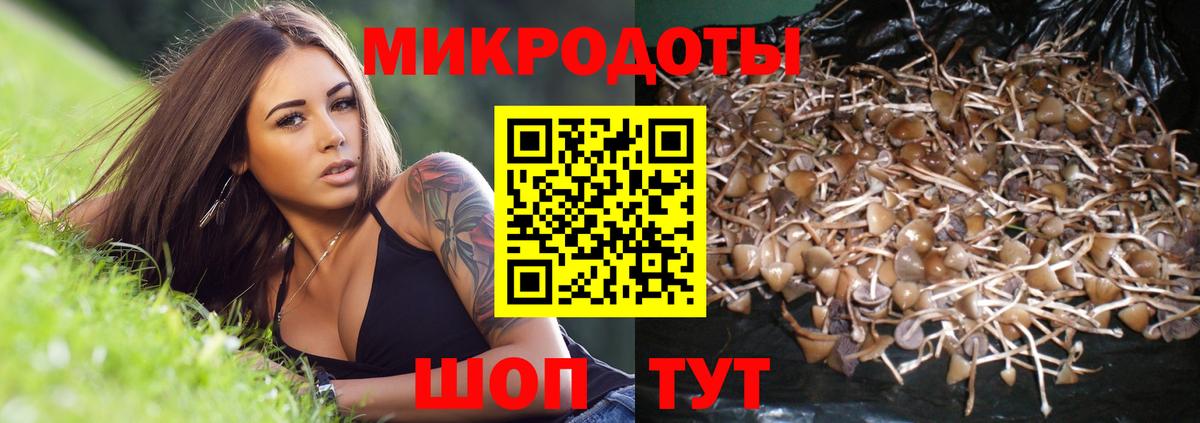 Псилоцибиновые грибы прущие грибы  Вход с VPN  Томск 